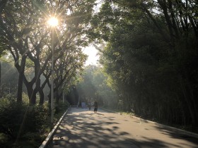 阳光倾泻