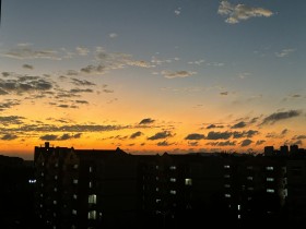 生如夏花