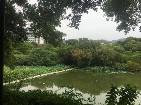 嘉庚风景