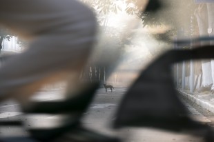 总有些惊奇的际遇