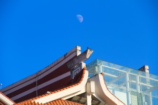 隐月