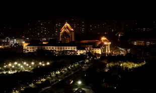 夜影鎏光
