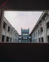 镜头下的“嘉园”
