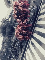 MY WAY