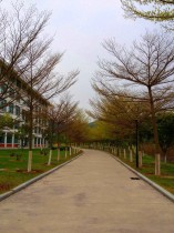 路