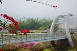 雨