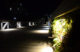 夜