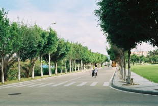 单车岁月