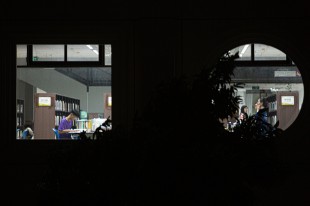 “馆藏”
