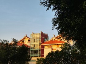 酉时