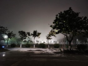 雾中风景