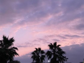 “嘉园”的天空
