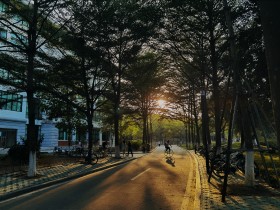 光影斑斓
