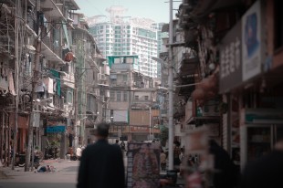 厦门花鸟市场