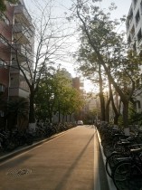 日落余晖