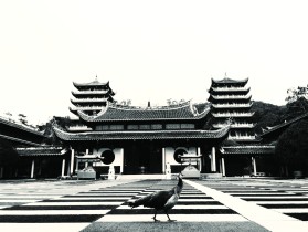 独秀