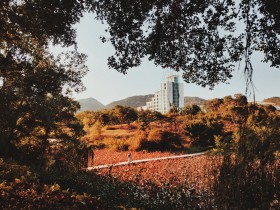 秋日“嘉”径