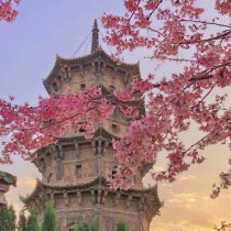 你是人间四月天