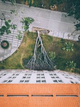 台风过后