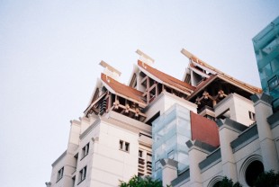 胶片“嘉园”