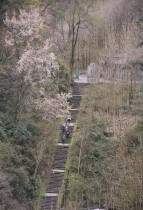 春游