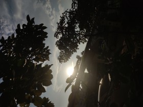 光