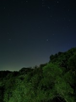 “嘉园”有繁星