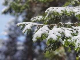 雪