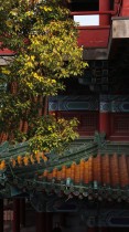 泄光