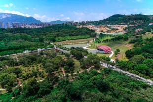 晴空缤纷“小巨蛋”