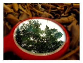 夏天和秋天