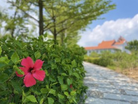 送“嘉”一朵小红花儿