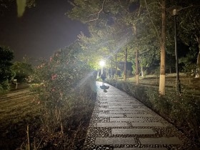 前进