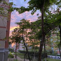 在“嘉”的每一天