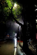 雨夜