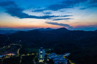 夜嘉