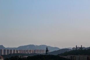 孤独的树