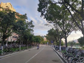 晨路