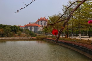 “嘉园”踏春