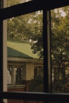 光照进来的地方