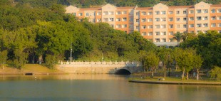 清晨“嘉园”时什么模样