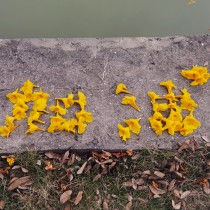 为你加油