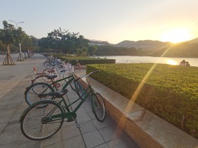 一缕阳光