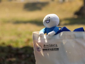 青春有我