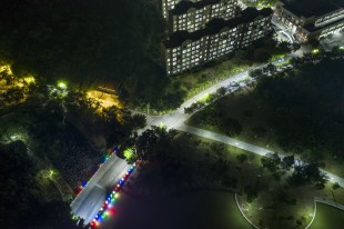 夜晚的线条