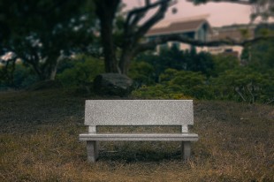 孤秋