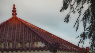 屋檐上的金辉