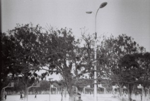 岁月静好