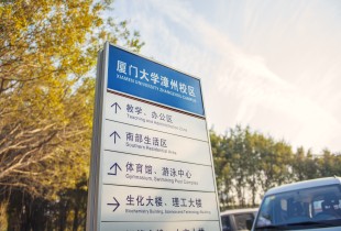 嘉