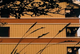 三两事